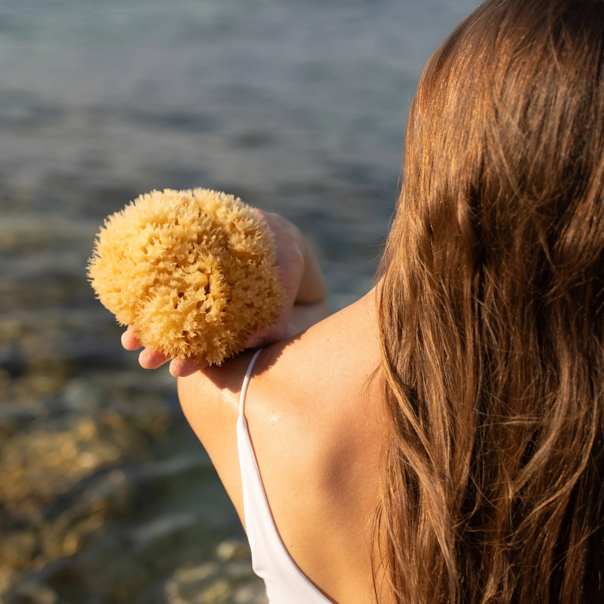Person holding a sea sponge by the water