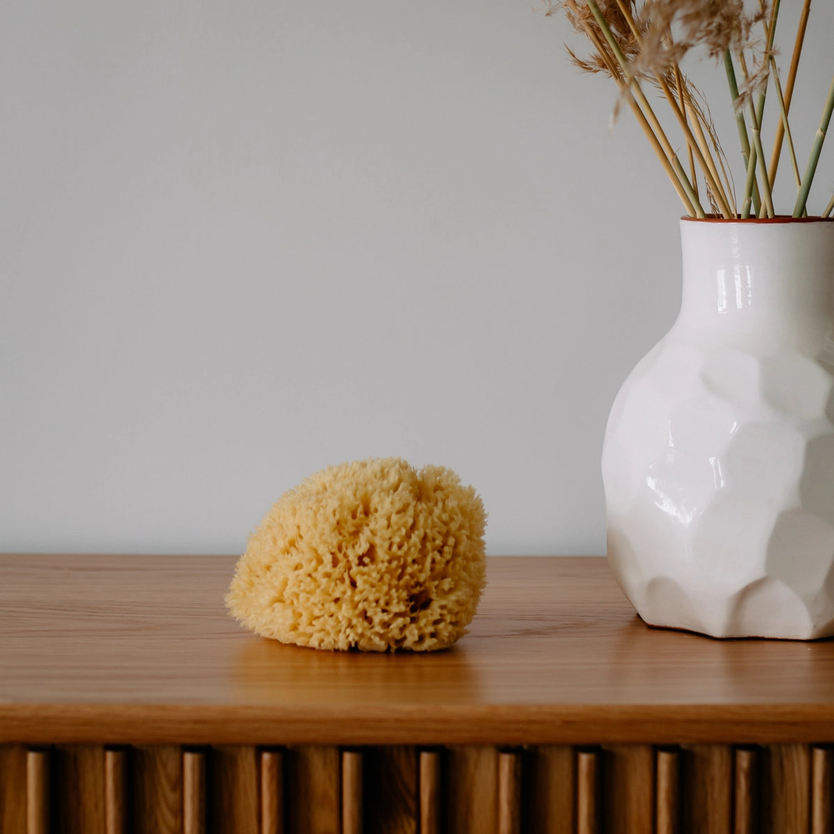 Sea sponge and white vase with dried plants on a wooden surface