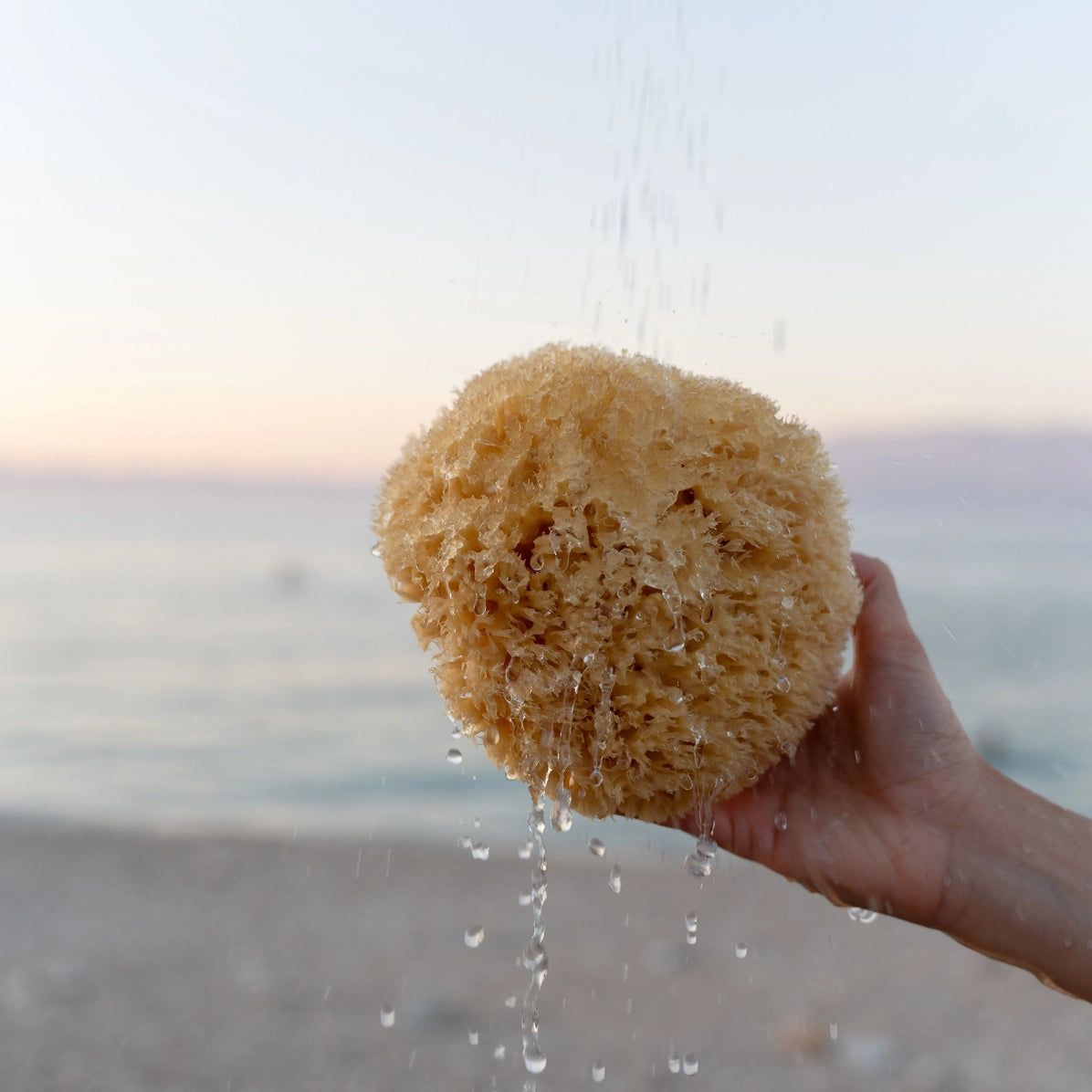 Hand holding a sea sponge over water with a blurred beach background