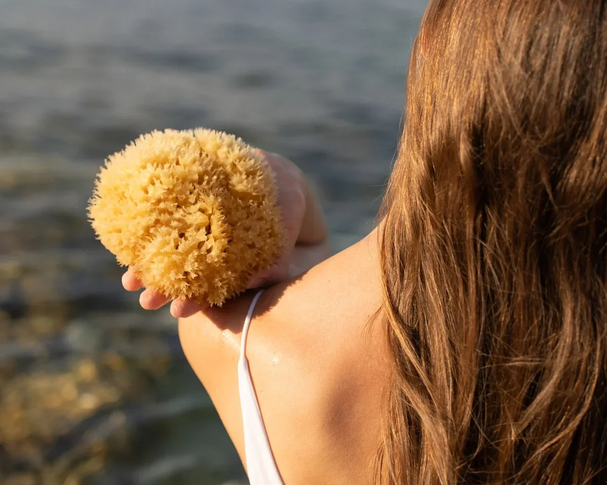 The Timeless Charm of Natural Sea Sponges - History, Benefits & Sustainability