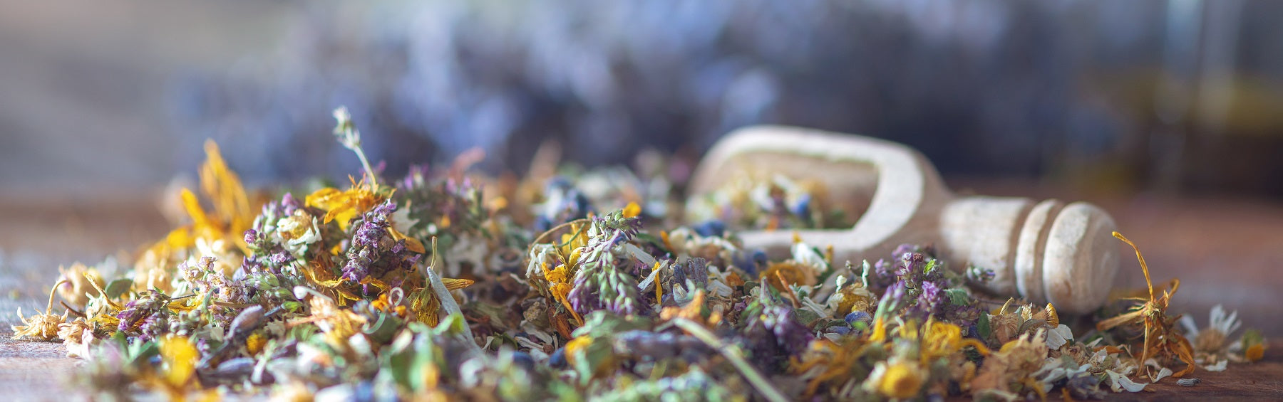Our Ingredients