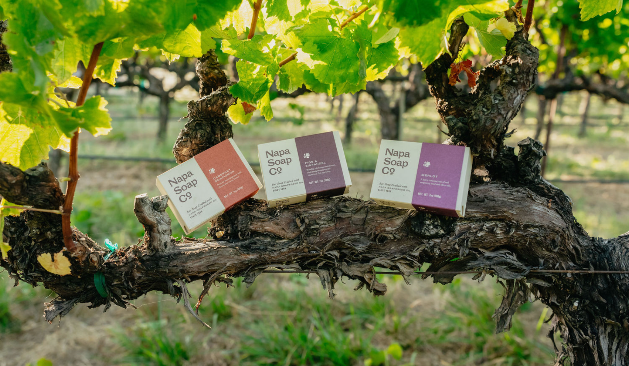 The Vineyard Bath Collection