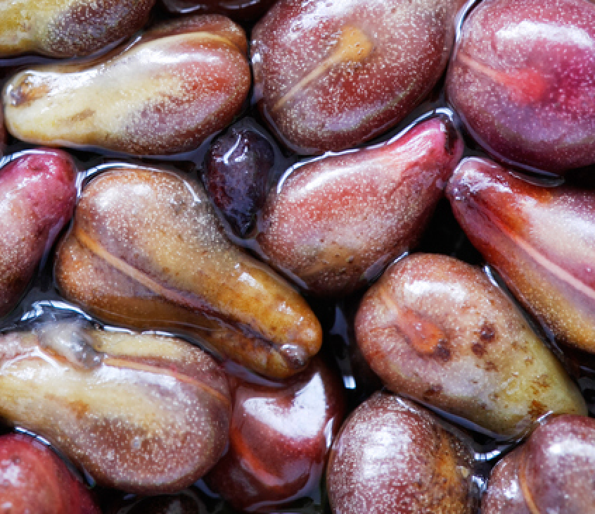 Crushed Grapeseeds