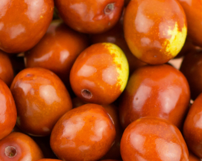Jojoba Oil