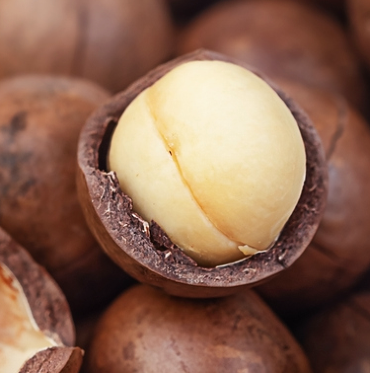 Macadamia Nut Oil