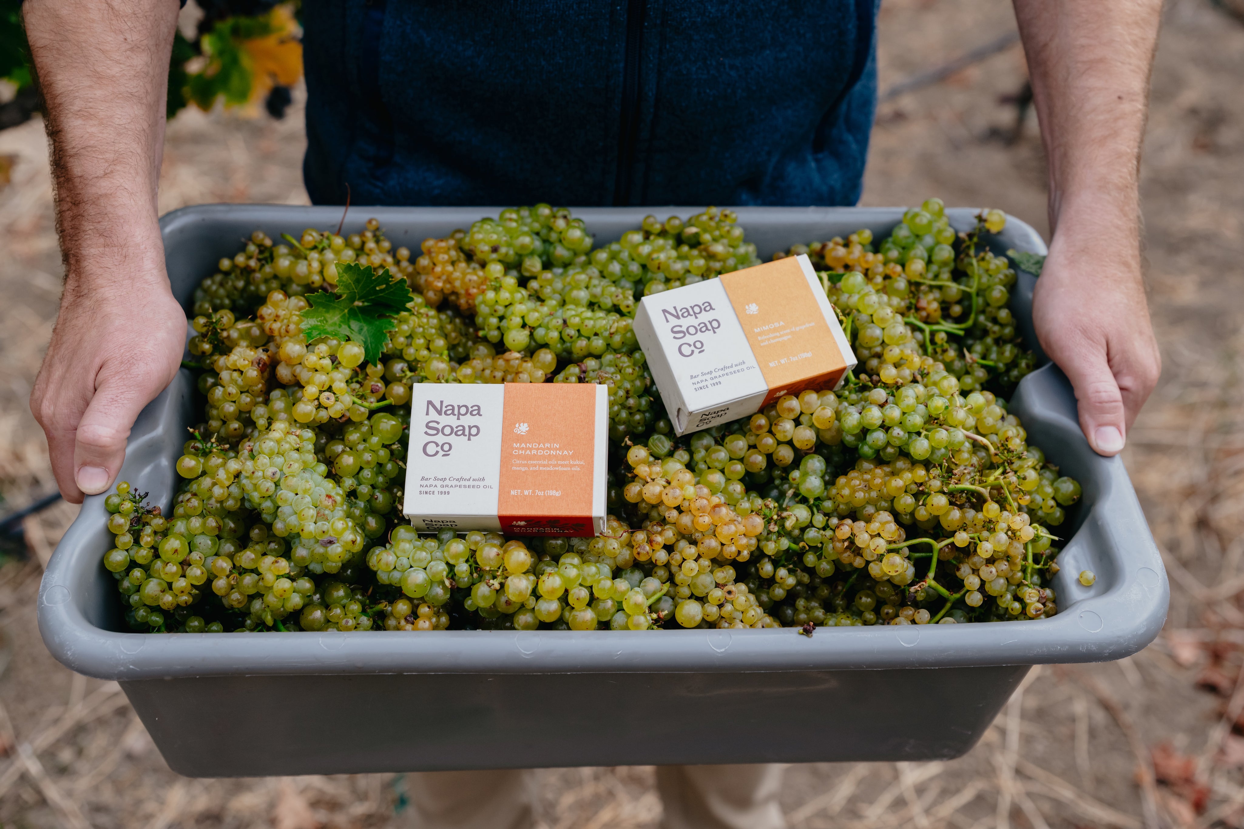 NapaSoap_Harvest-00160.jpg