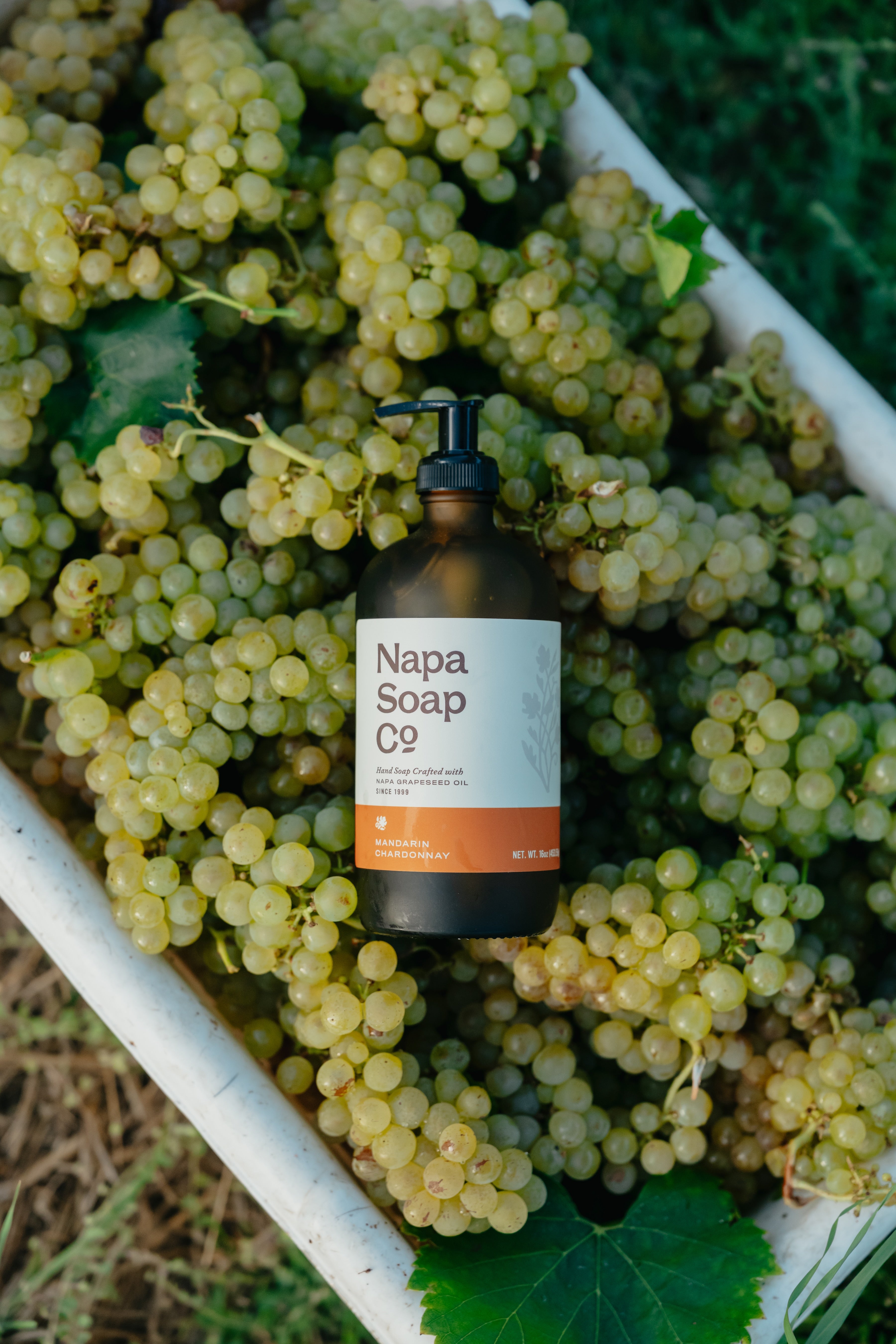 NapsSoapCo-Harvest26-01871.jpg