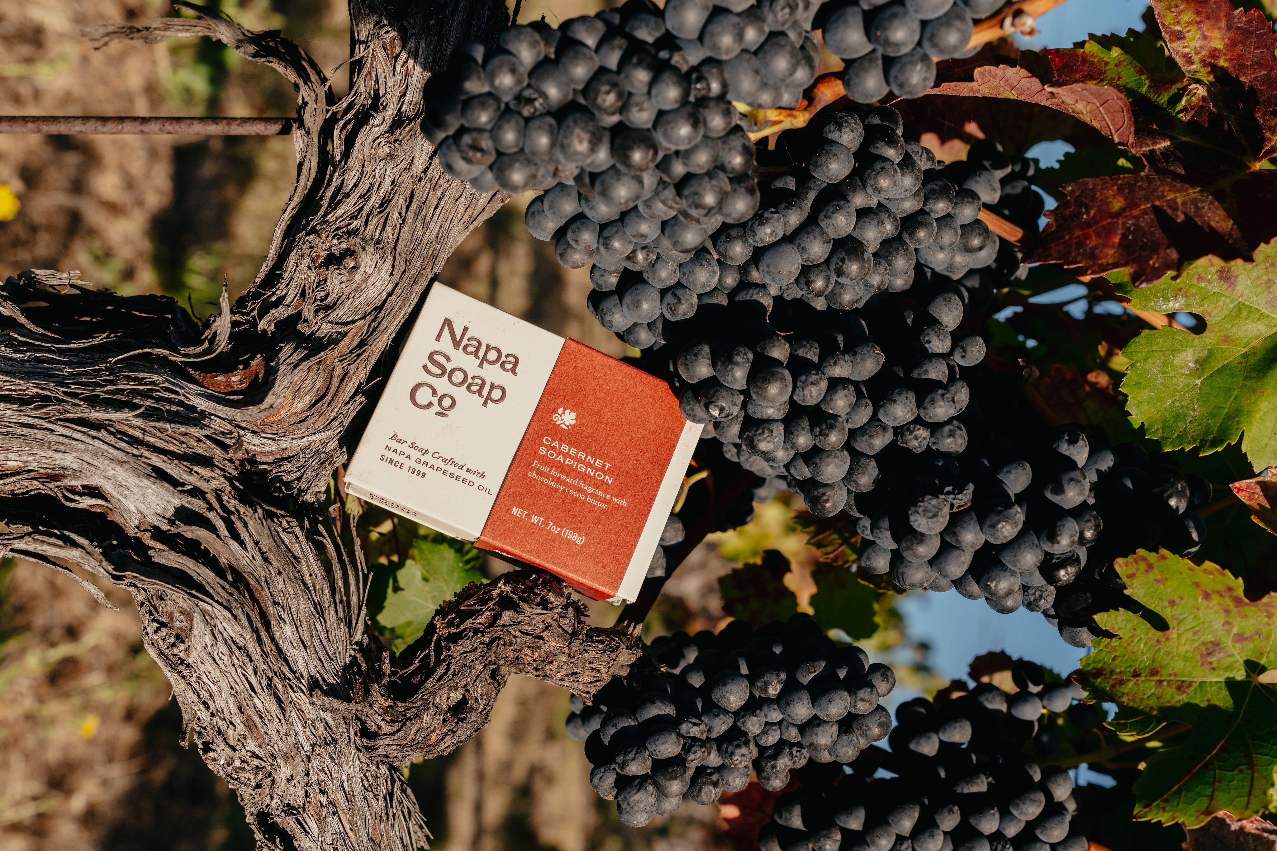 NapsSoapCo-Harvest26-01933.jpg
