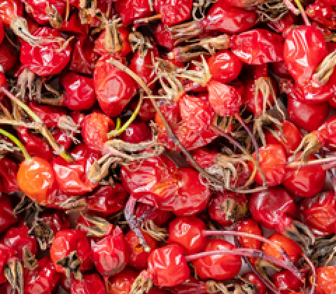 Rosehip Oil
