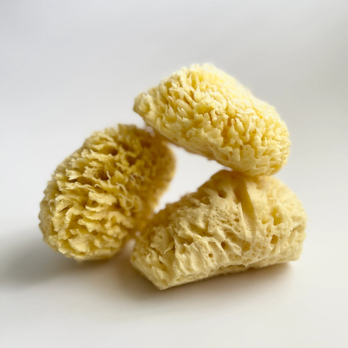Three natural sponges stacked on a white background